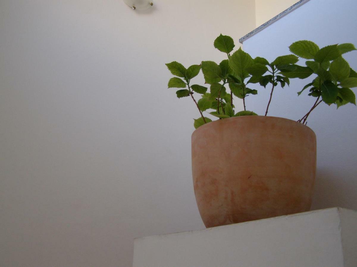 Charming Apartments In Pula Exterior foto